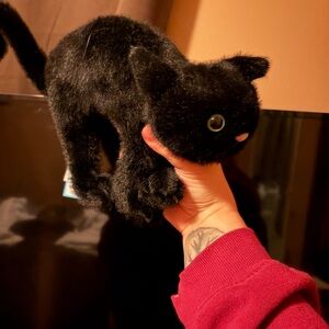 Jellycat scaredy cat